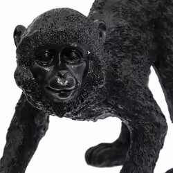 Singe Queue Noir