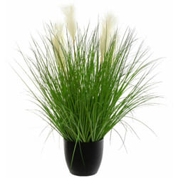 Atmosphera - Bunch Herbe