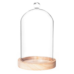 Cloche Décorative en Verre  Poser  19cm Naturel