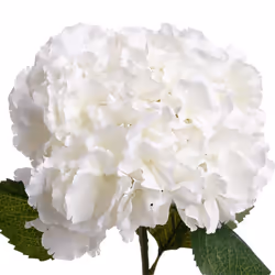 Fleur Artificielle  Hortensia  83cm Blanc