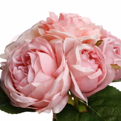 Bouquet de 9 roses anciennes H30