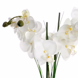 Orchidée vase céramique noir H.53
