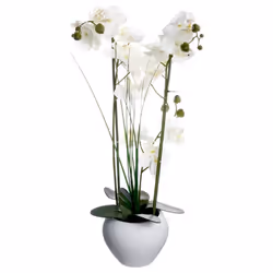 Atmosphera 136510B, 1 pièce(s)