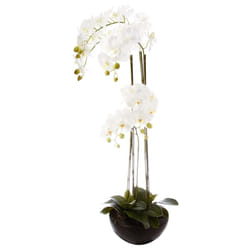 Orchidée En Pot Céramique H115