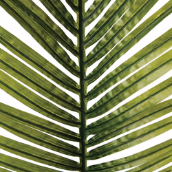 Atmosphera 116494 plante artificielle
