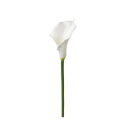 Atmosphera 121515 plante artificielle