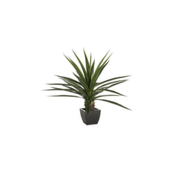 Atmosphera - Plante Agave Artificielle Géante