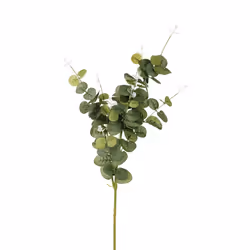 Atmosphera 124150, 1 pièce(s)