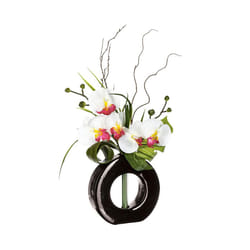 Composition d'orchidées avec vase céramique H44