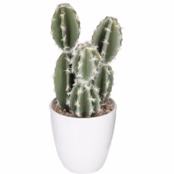 Plante succulente & cactus h18cm - Atmosphera createur d'interieur. Couleur : Modèle d. Matière principale : Eva. Longueur :  ...