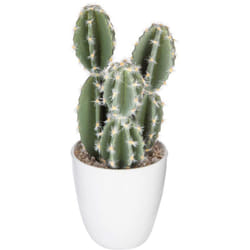 Atmosphera - Plante succulente & cactus H18cm créateur d'intérieur
