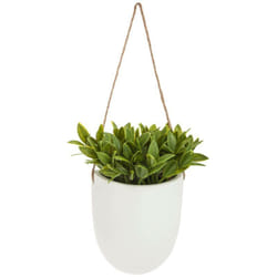 Atmosphera - Plante artificielle à suspendre pot céramique H20cm créateur d'intérieur