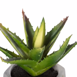 Atmosphera 114760 plante artificielle