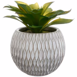 Originale et raffinée, la plante grasse artificielle Atmosphera s'invitera volontiers sans un univers déco au style contempor ...