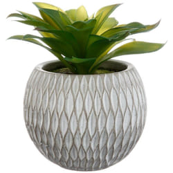 Atmosphera - Plante grasse artificielle pot ciment H17cm créateur d'intérieur