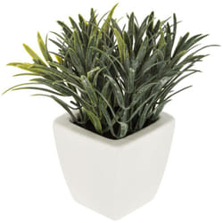 Atmosphera - Plante artificielle pot céramique H16cm créateur d'intérieur
