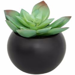 Plante grasse en pot h13 - Atmosphera createur d'interieur. Couleur : Modèle g/noir. Matière principale : Polyéthylène. Longu ...