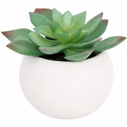 Plante grasse en pot h13 - Atmosphera createur d'interieur. Couleur : Modèle g/blanc. Matière principale : Polyéthylène. Long ...