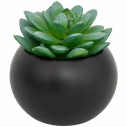 Plante grasse en pot h13 - Atmosphera createur d'interieur. Couleur : Modèle h/noir. Matière principale : Polyéthylène. Longu ...