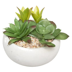 Atmosphera 145026 plante artificielle