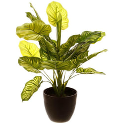 Atmosphera - Plante artificielle pot ciment H45cm créateur d'intérieur
