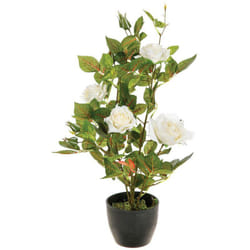 Rosier artificiel pot ciment H50cm - Atmosphera créateur d'intérieur