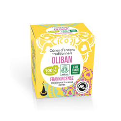 Aromandise EICOLI bâton d'encens