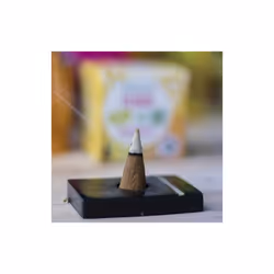 Aromandise EICOLI bâton d'encens