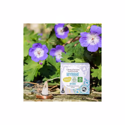 Aromandise EICMYR bâton d'encens