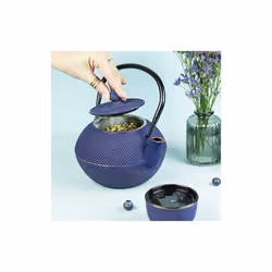 Aromandise TSONGB théière 1200 ml