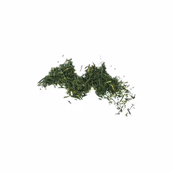 Aromandise THEGYO Feuille de thé - Vue supplémentaire 4