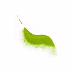 Aromandise THEMC Feuille de thé - Vue supplémentaire 4
