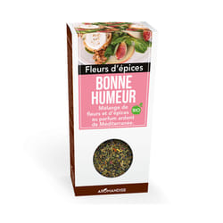 Aromandise HBE15 assaisonnement instantané