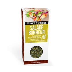 Aromandise HBE22 assaisonnement instantané