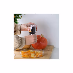 Aromandise CEPOI1 assaisonnement instantané
