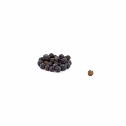 Aromandise CEGEN1 assaisonnement instantané