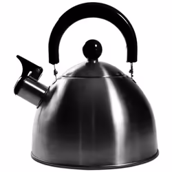 bouilloire inox tous feux 1.5l