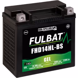 Batterie GEL 12V sans entretien, capacité 14.7Ah, idéale pour motos puissantes. Résistante aux vibrations, prête à l'emploi. ...