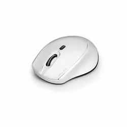 Port Designs 900714 souris Ambidextre RF Wireless + USB Type-C 1600 DPI
