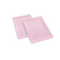 5 PLATS CARTON SERVICE TRAITEUR 24X33CM VIEUX ROSE
