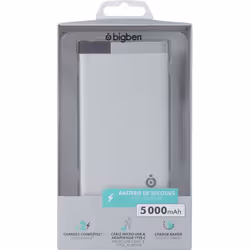 Bigben Connected PBPOLY5000CMICS banque d'alimentation électrique 5000 mAh Argent