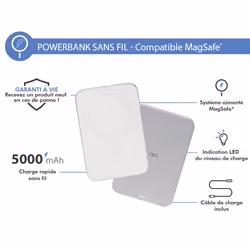FORCE CASE FPMSPB15WW banque d'alimentation électrique Gris