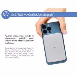 FORCE CASE FPMSPB15WW banque d'alimentation électrique Gris