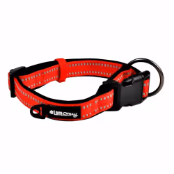 Paris Prix Collier Expert Réglable - 55cm Rouge