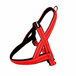 Paris Prix Harnais Norvégien Expert Réglable - 65 cm Rouge