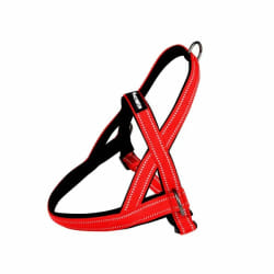 Paris Prix Harnais Norvégien Expert - 95cm - Rouge