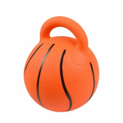 Ballon de Basket pour Chien