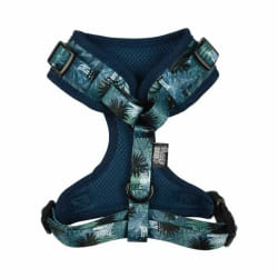 Paris Prix Harnais Eden - 46-61cm Bleu