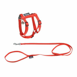 Paris Prix Harnais & Laisse Réfléchissant 120cm - Rouge