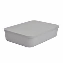 Boîte de Rangement Avec Couvercle Iris 55L Gris